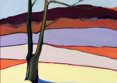 Landscape 15