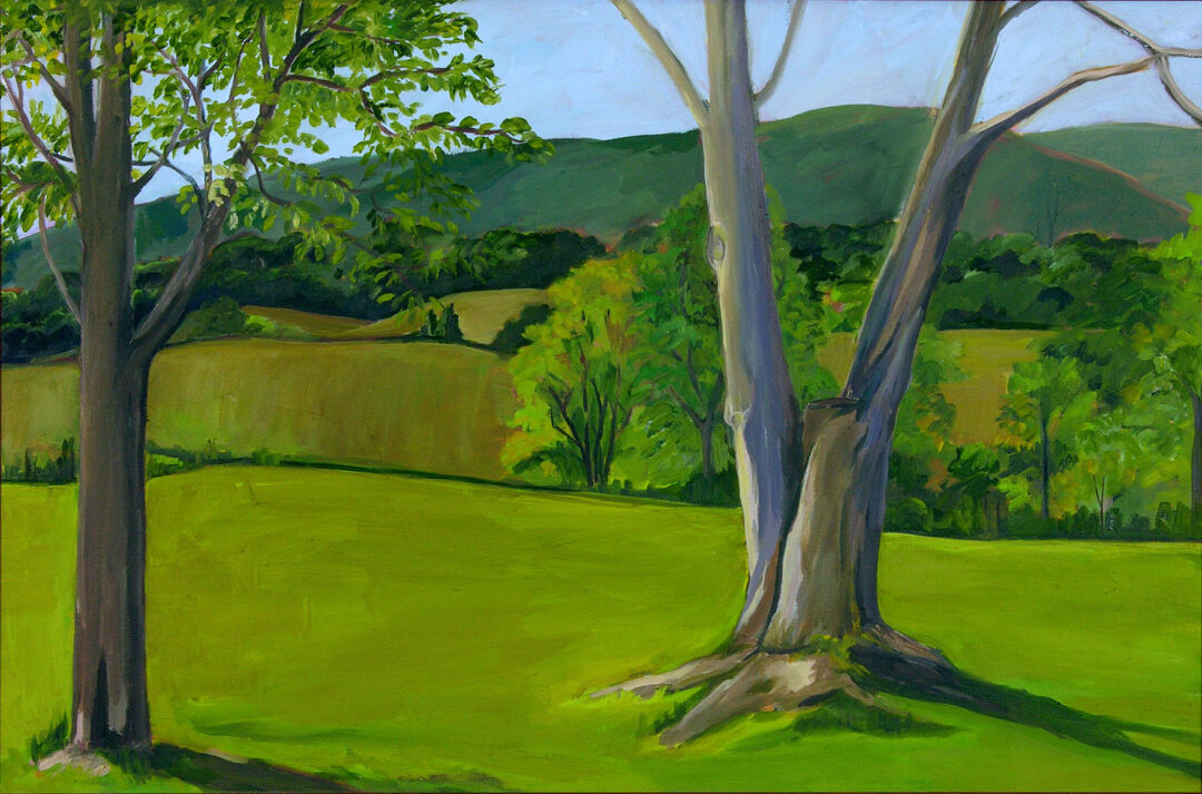 Landscape 16