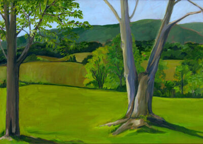Landscape 16